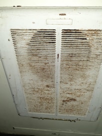 No idea what this filthy thing is