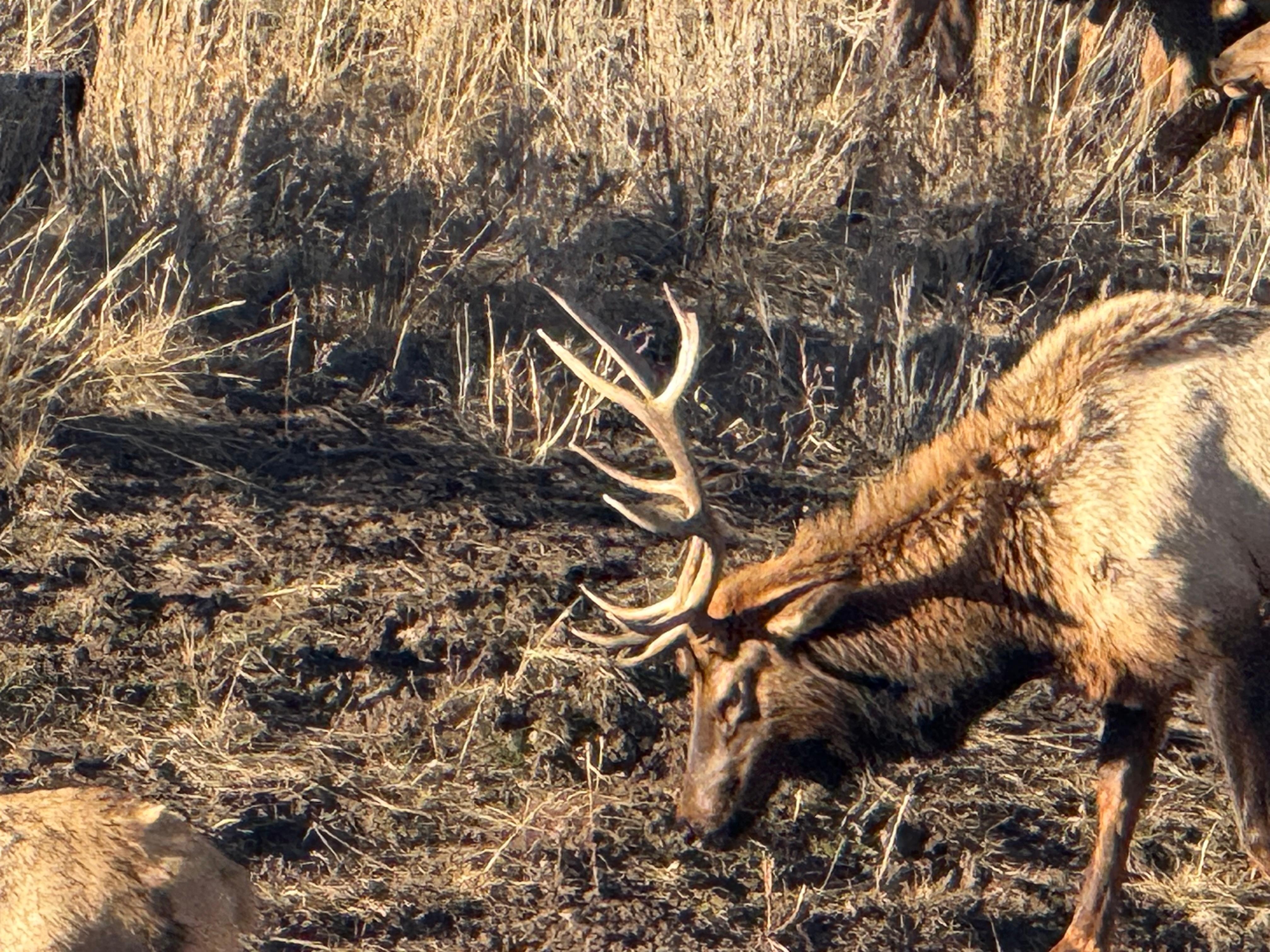 50 yards from the house