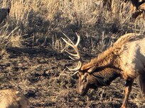 50 yards from the house