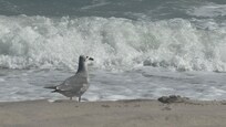 The sound of the waves and the great weather was very relaxing.
