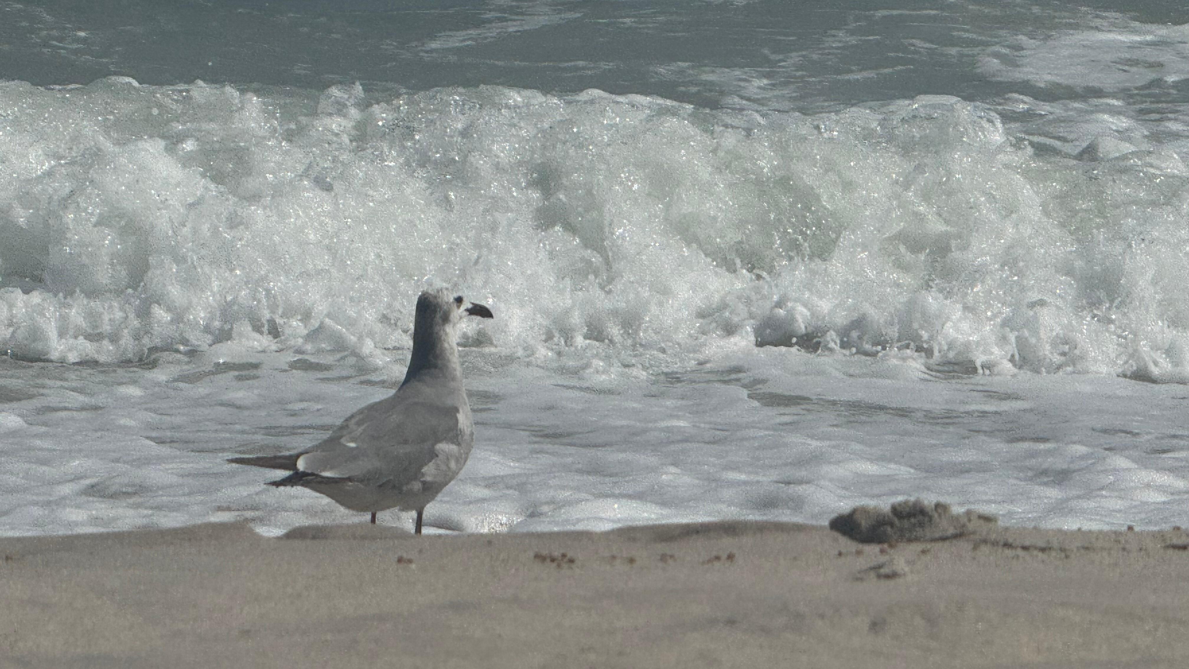 The sound of the waves and the great weather was very relaxing.