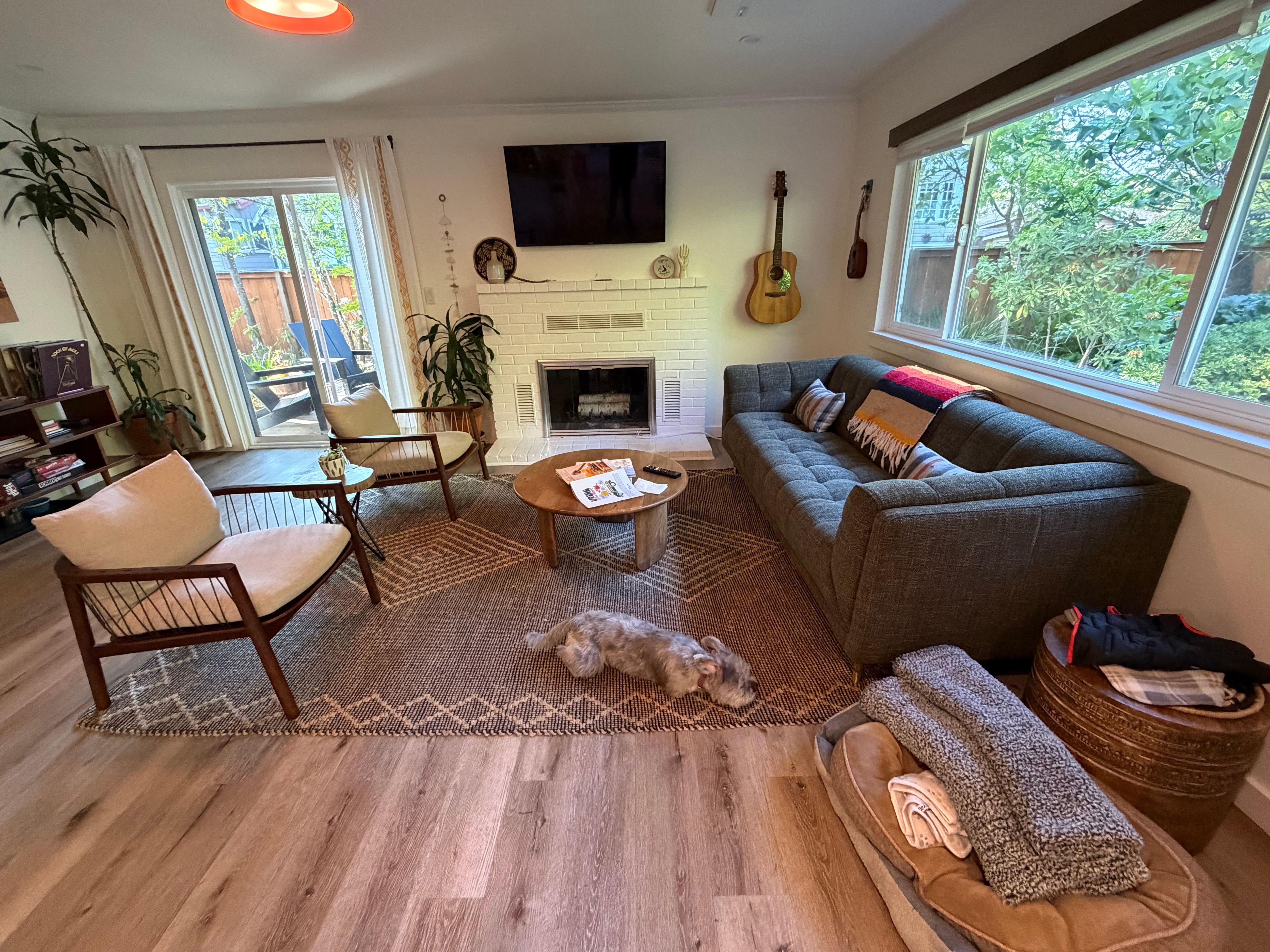 Betty enjoyed the chew bone.