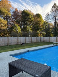 The fence was so well built and secured the property so well.