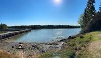 Fantastic view from back yard