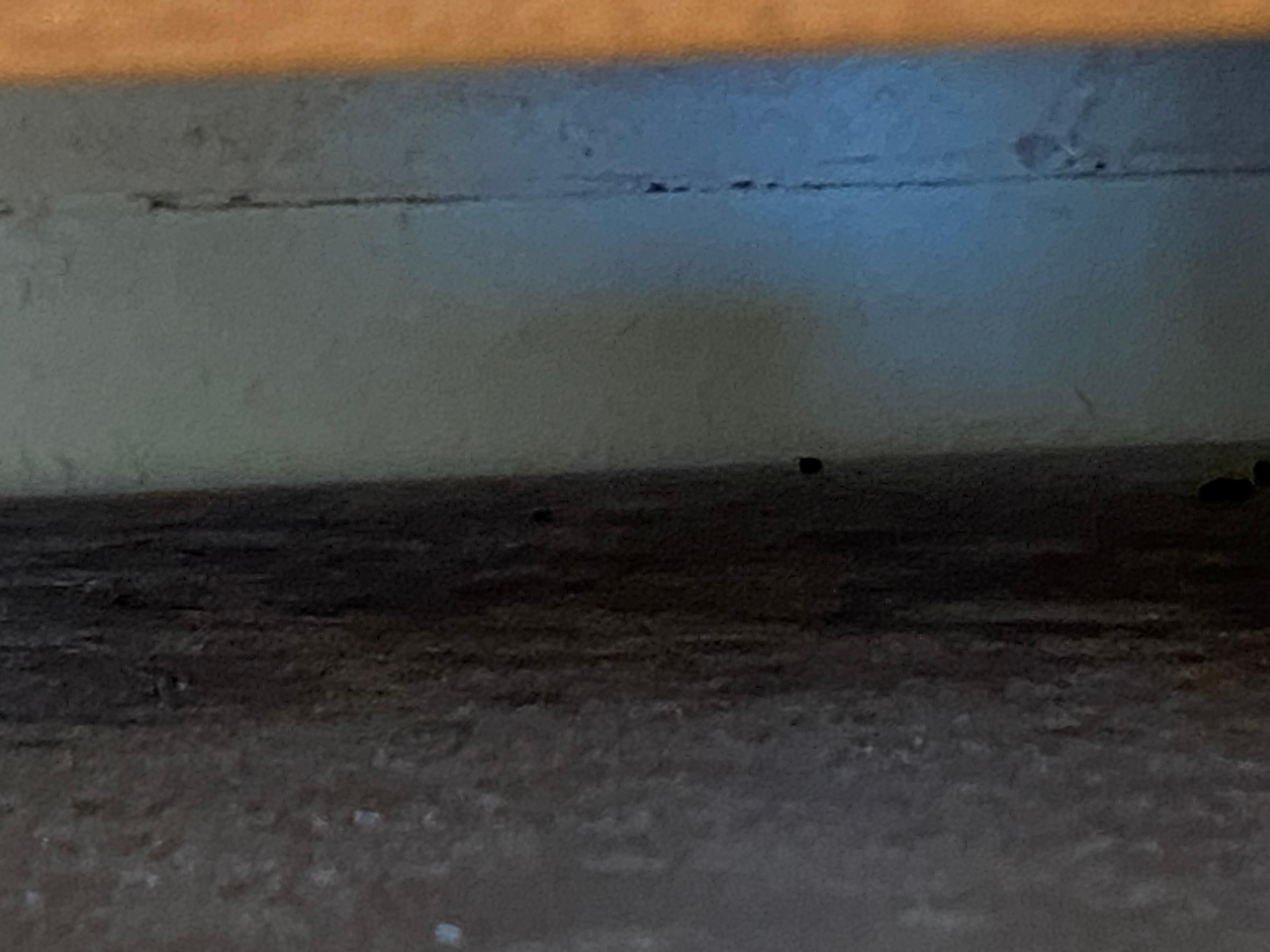 Mouse dropping and some dead bugs, hard to see