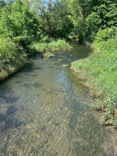 Creek next to cabin