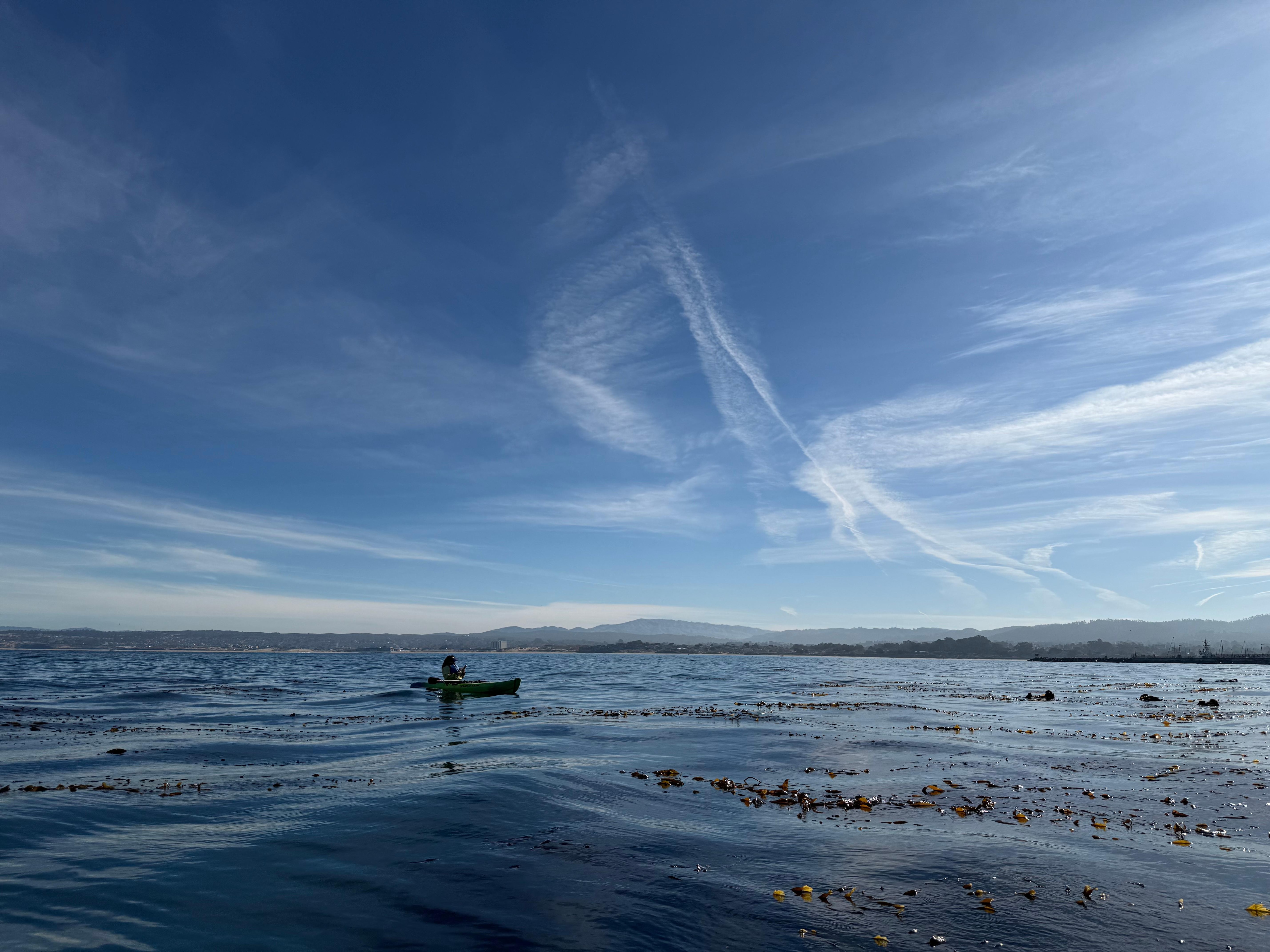 What a day to be on the water. Thanksgiving in Monterey. Lucky us!