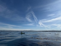 What a day to be on the water. Thanksgiving in Monterey. Lucky us!