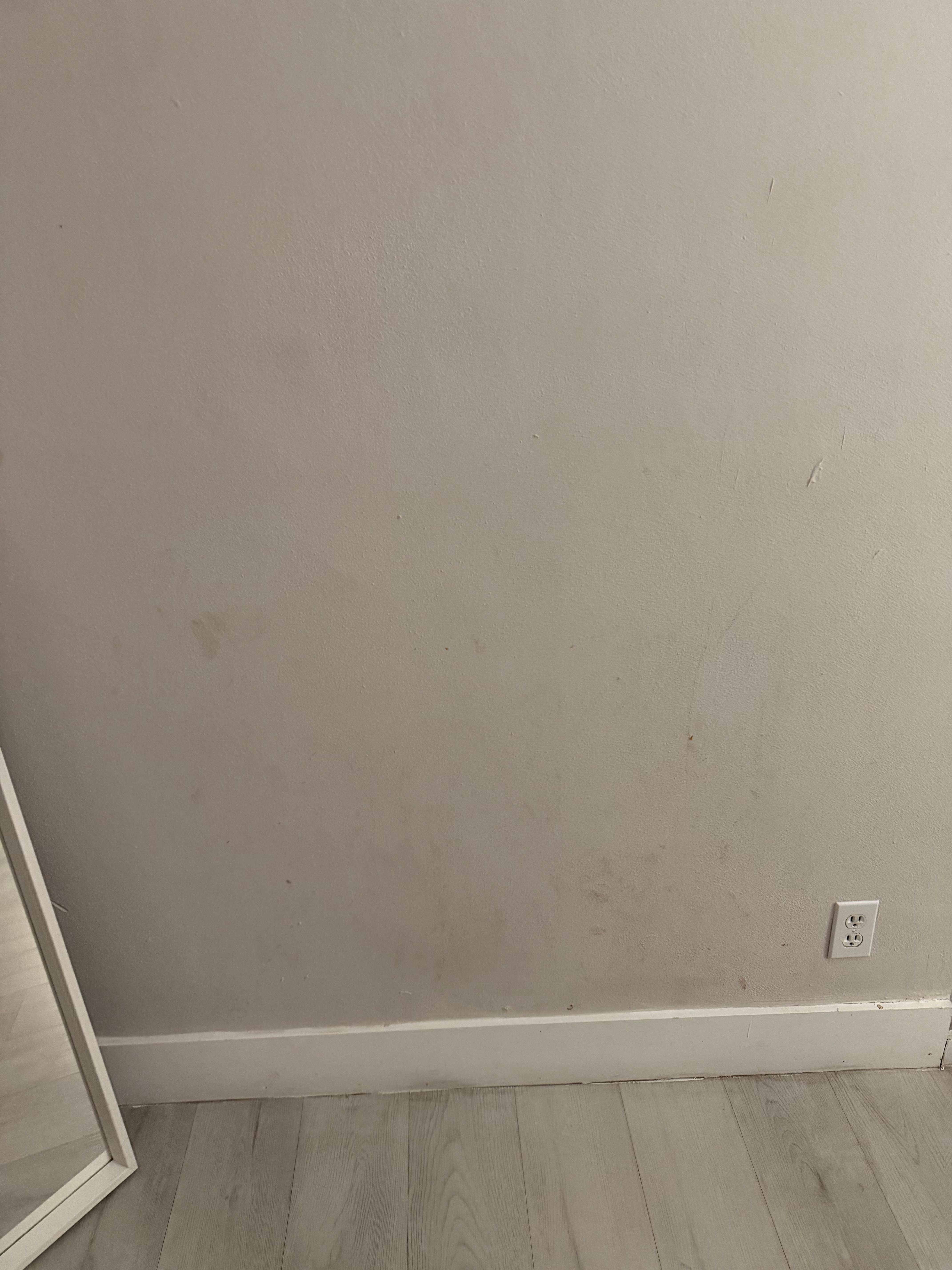 Dirty walls in living room and throughout 