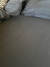 Pet hair and pilled sheets.