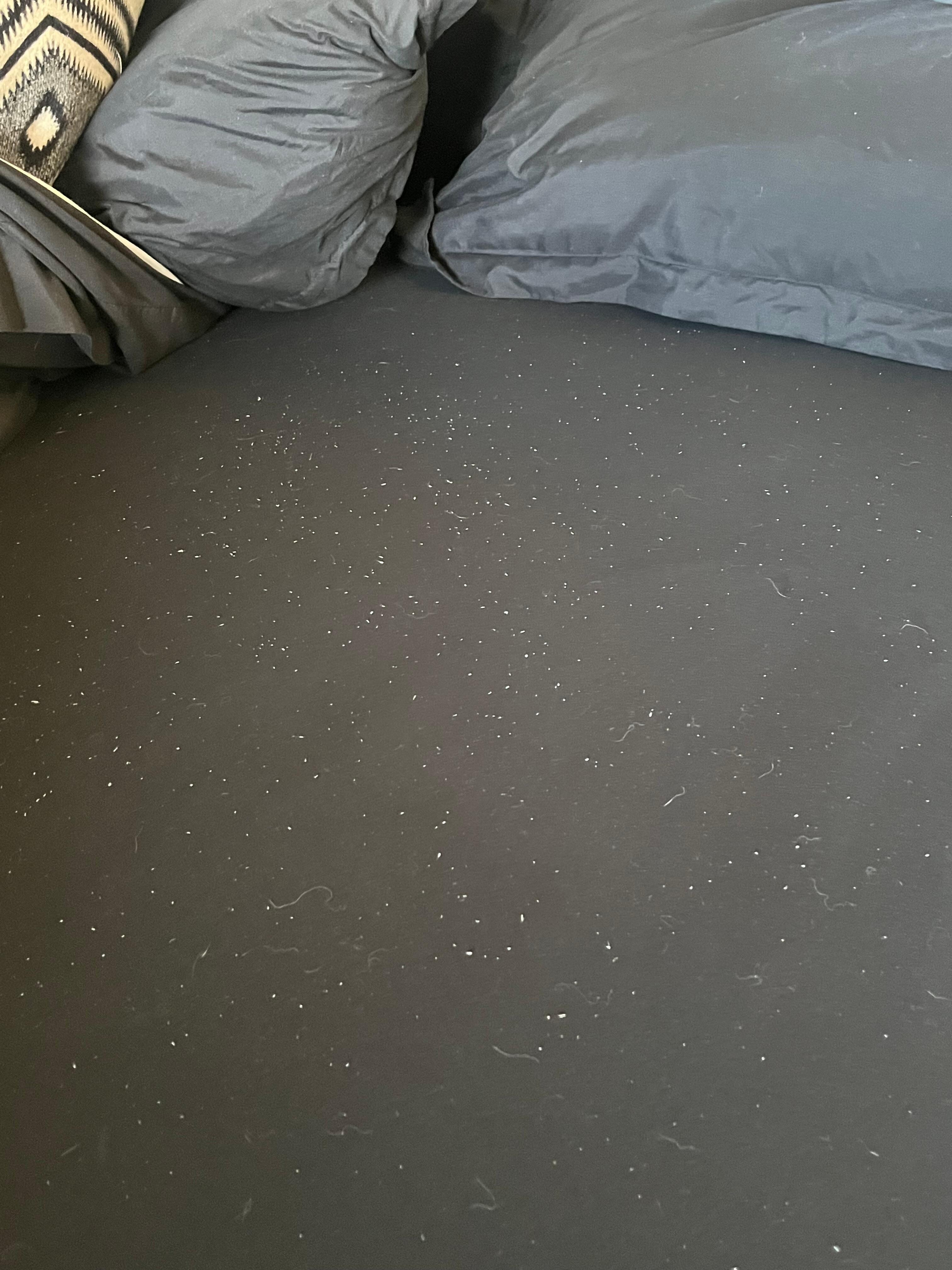 Pet hair and pilled sheets. 