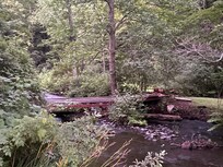 Bridge over brook