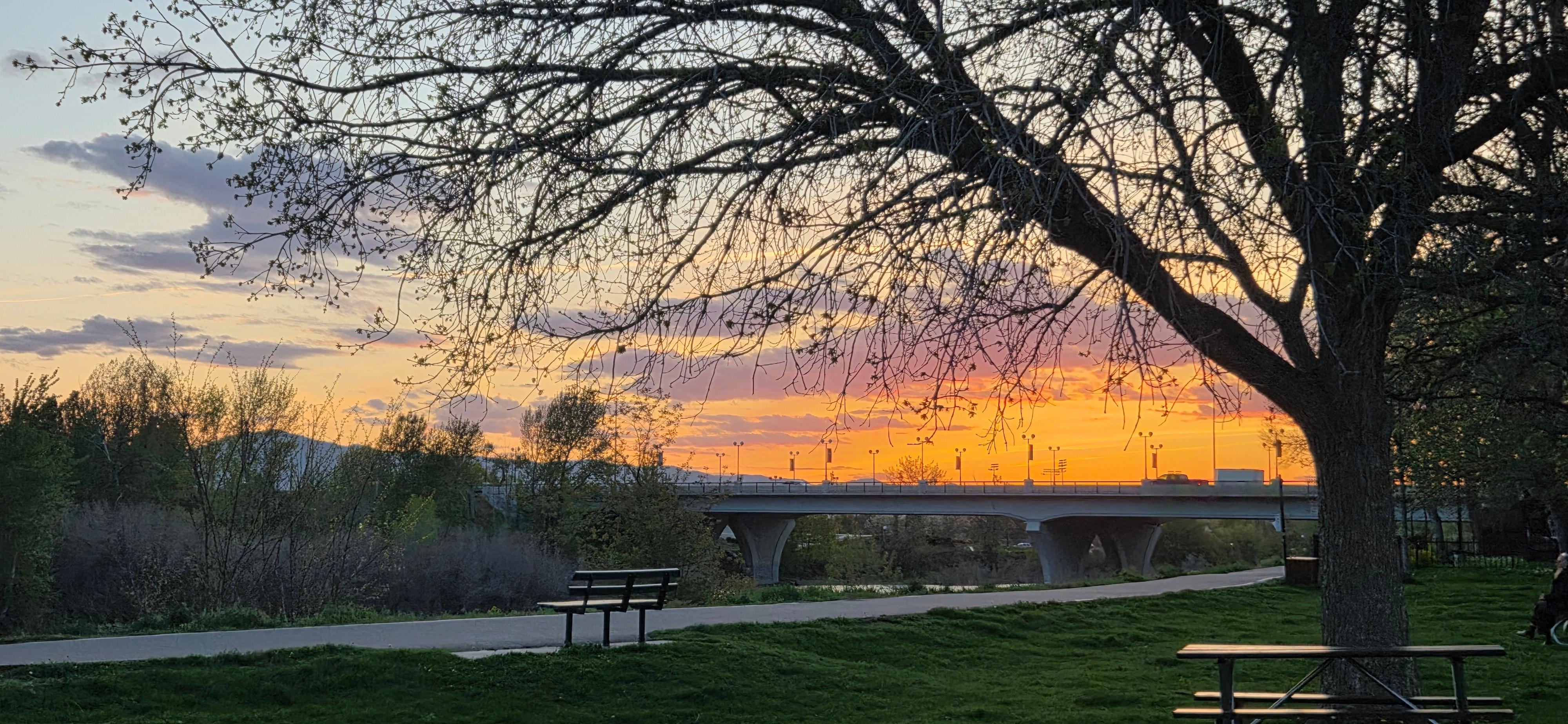 Caras Park on the Clark Fork