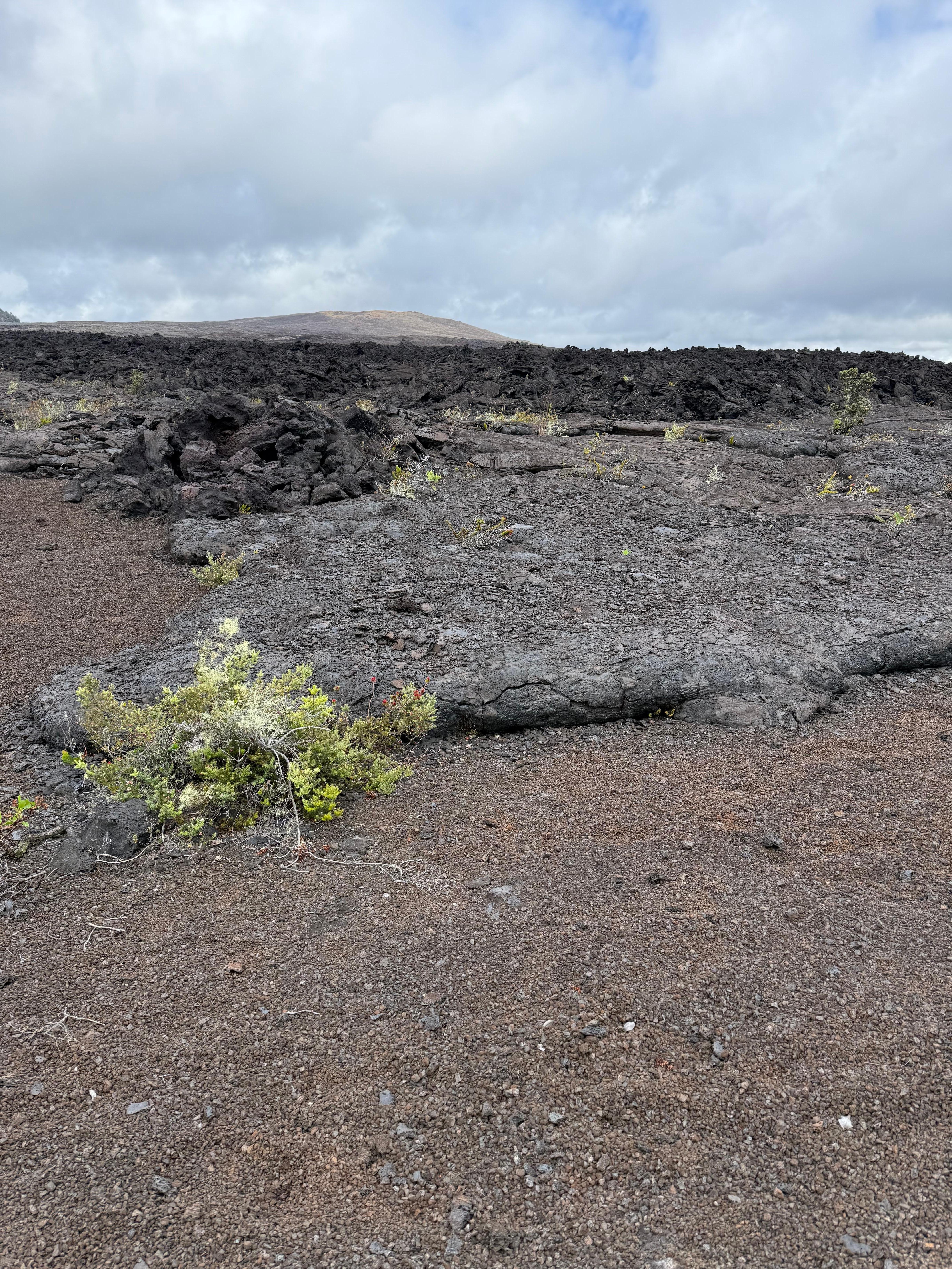 Walk to one of the black sand beaches on the south of the island