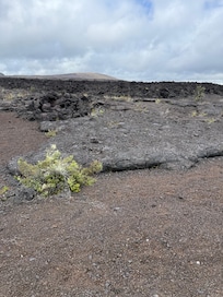 Walk to one of the black sand beaches on the south of the island