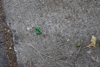 Broken glass in parking lot