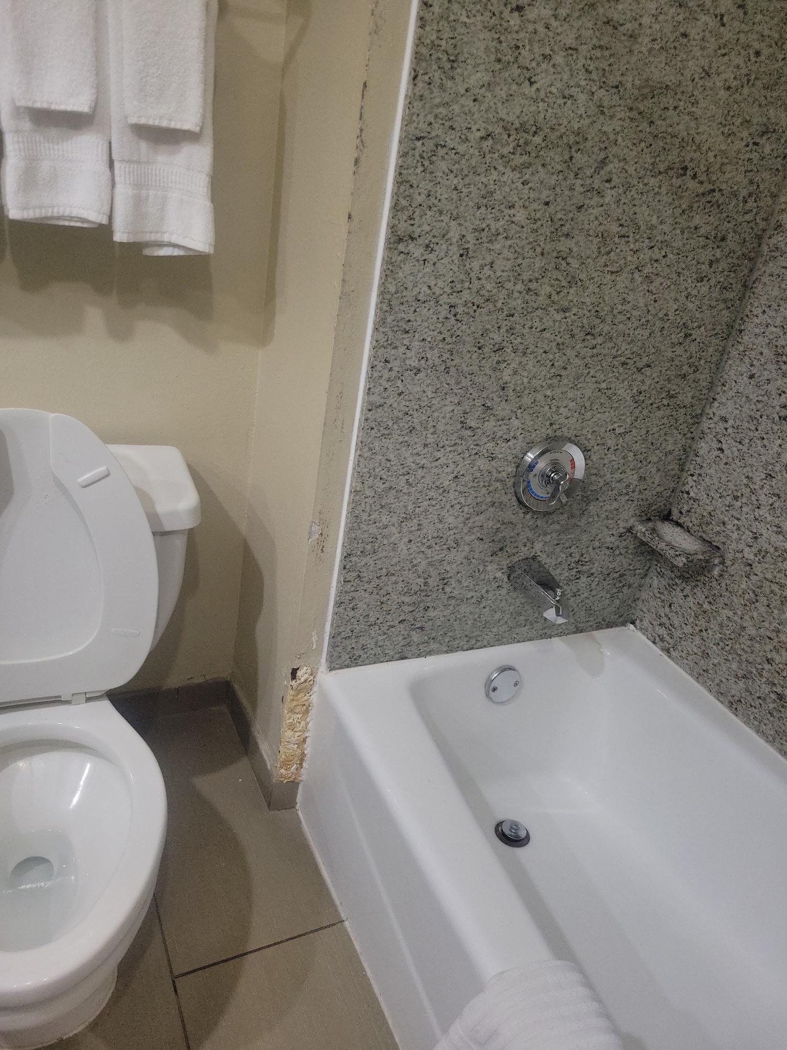 Hole next to shower and toilet