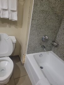 Hole next to shower and toilet