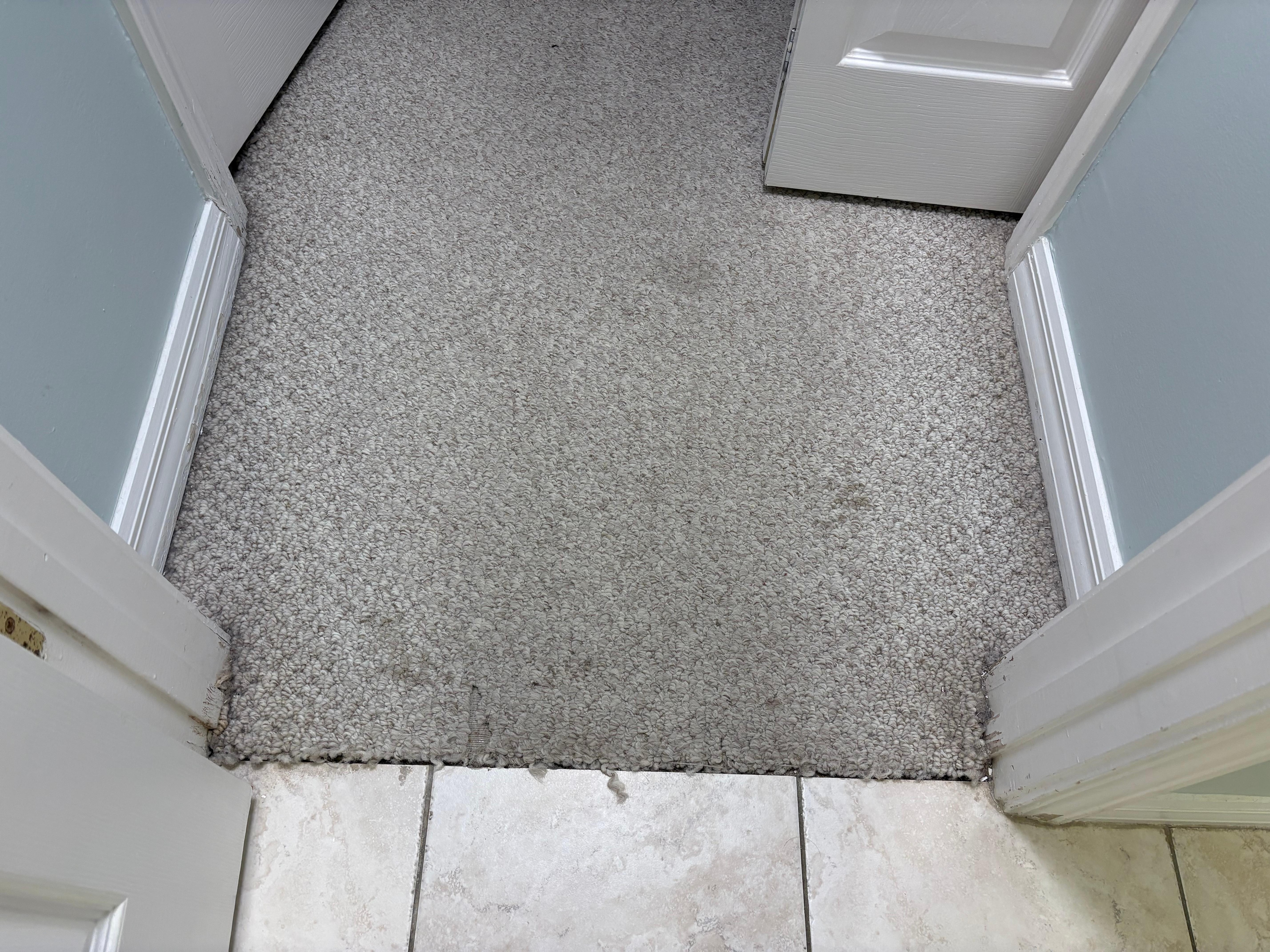 Again, the rug was really dirty