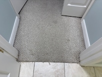 Again, the rug was really dirty