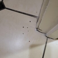 I don't know what this is