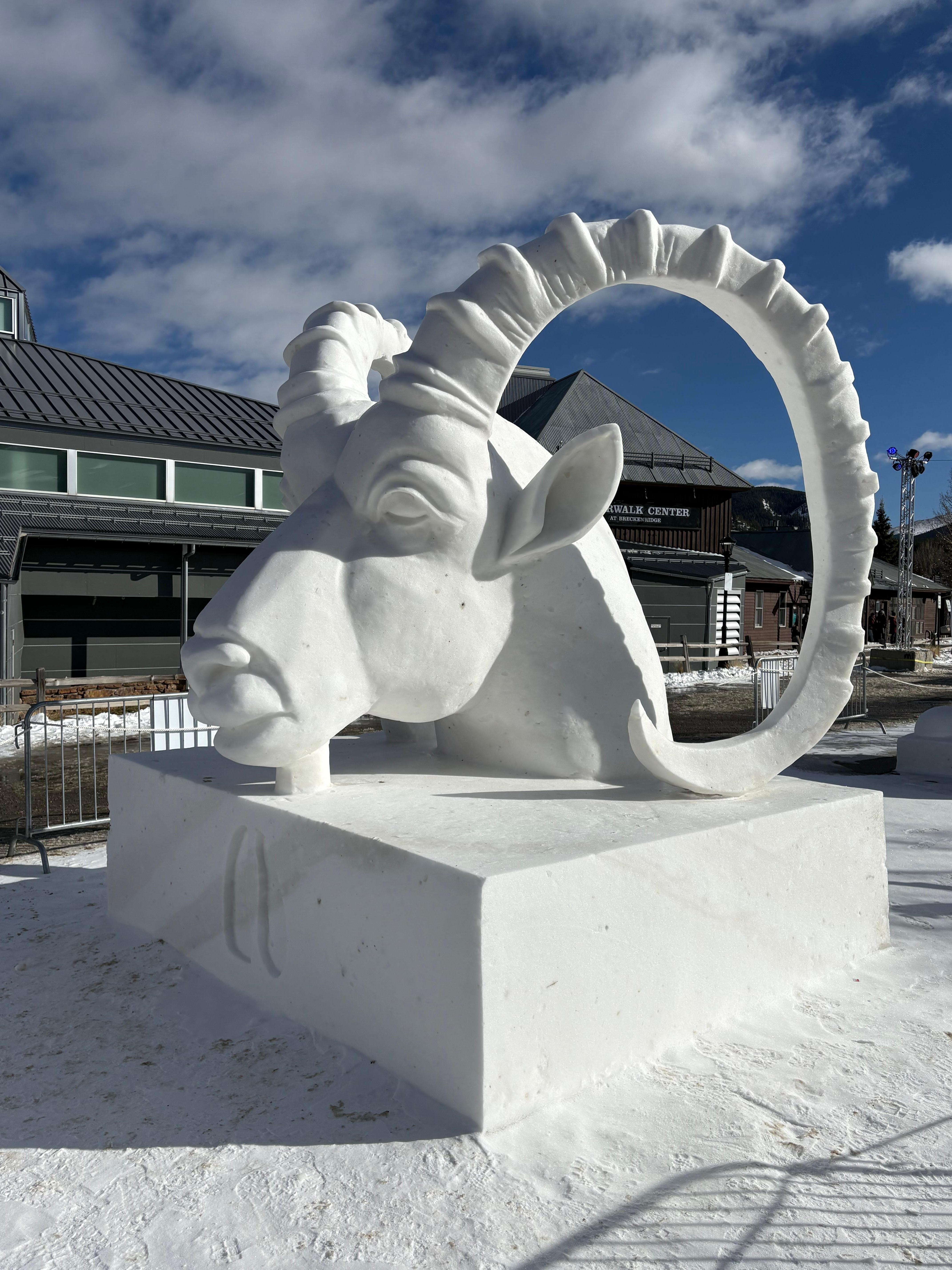 Snow carving