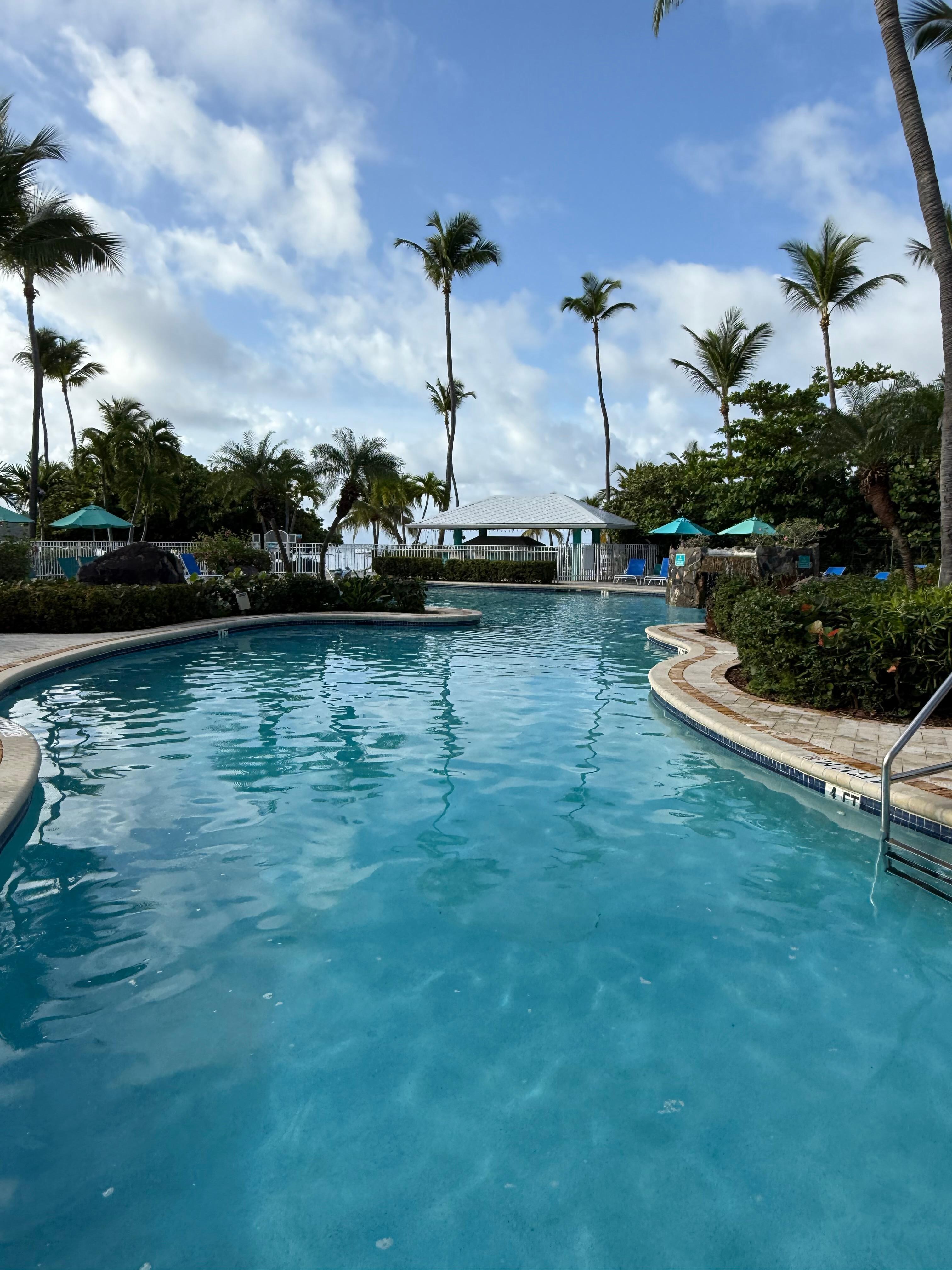 The pool