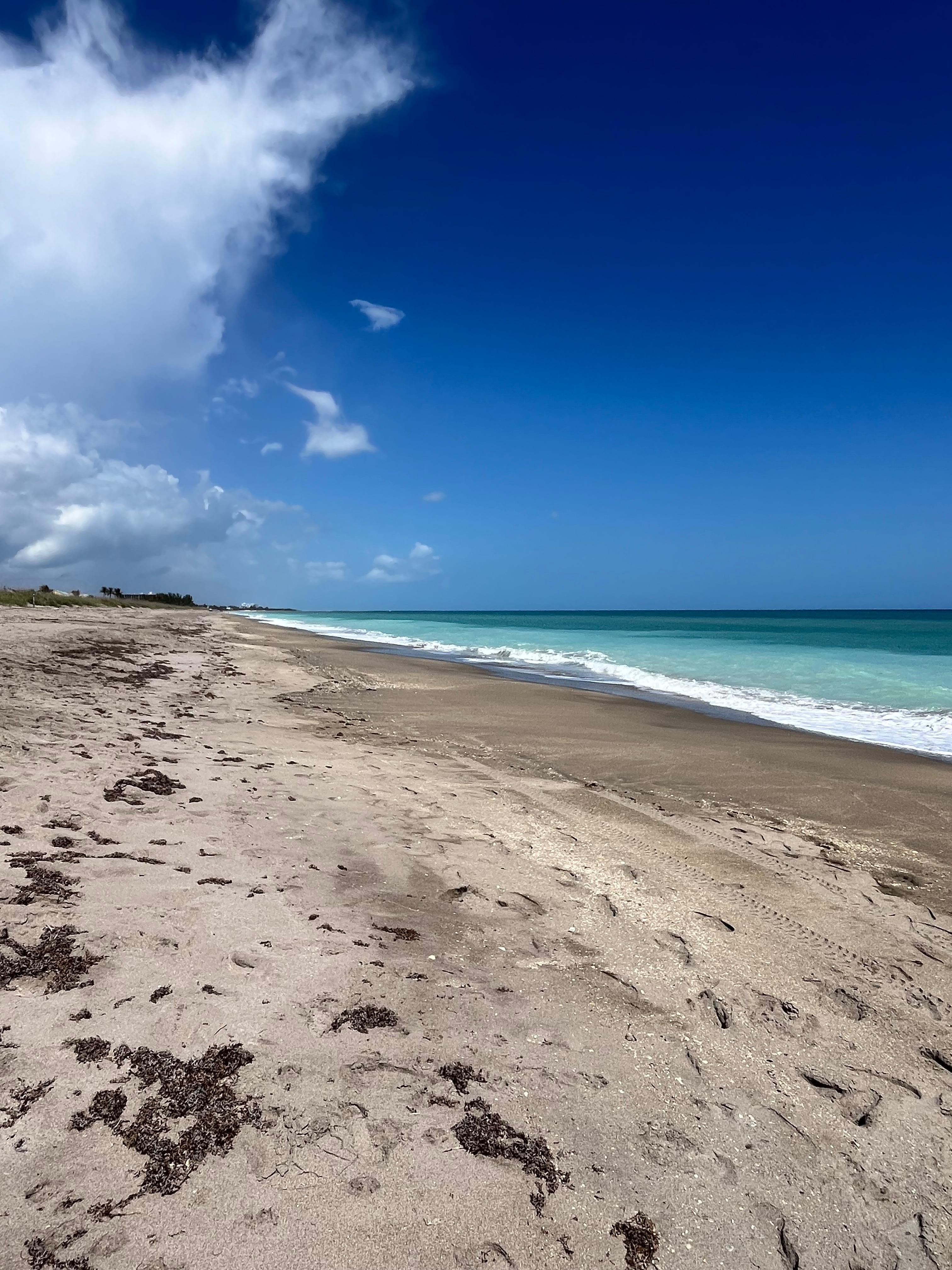 Surfside Private Beach