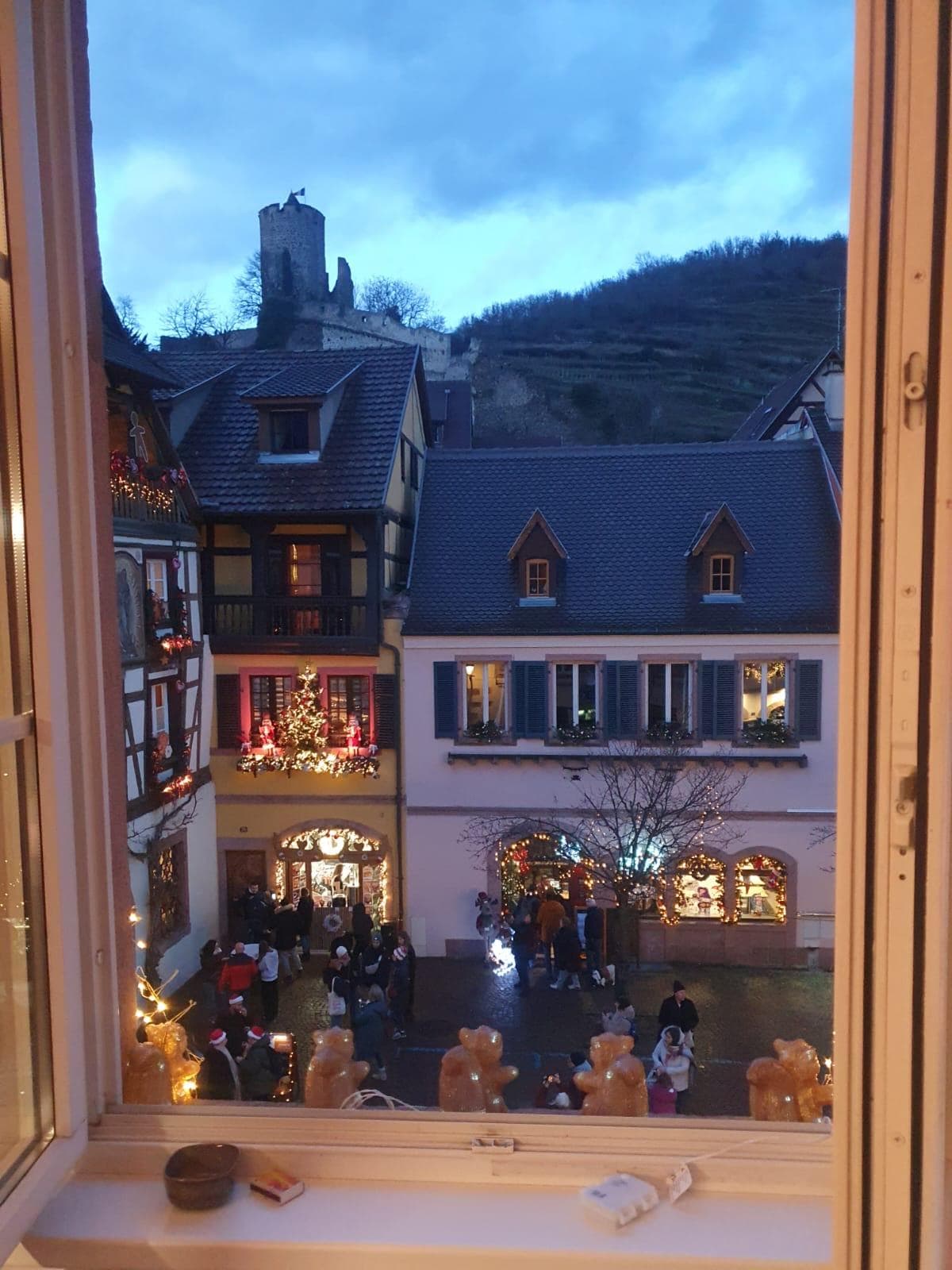 la vue sur les bâtiments et le château en face.