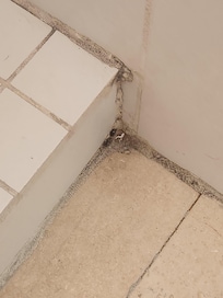 Bathroom floor