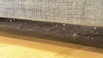 Under the basement couch