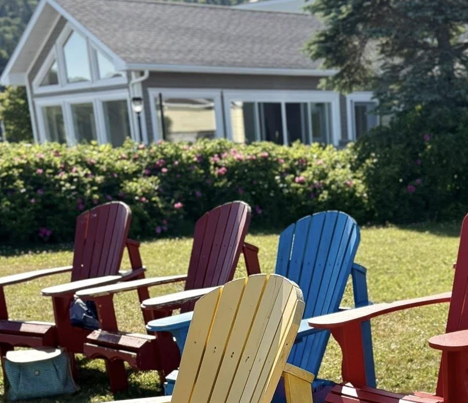 lounge chairs by the shore