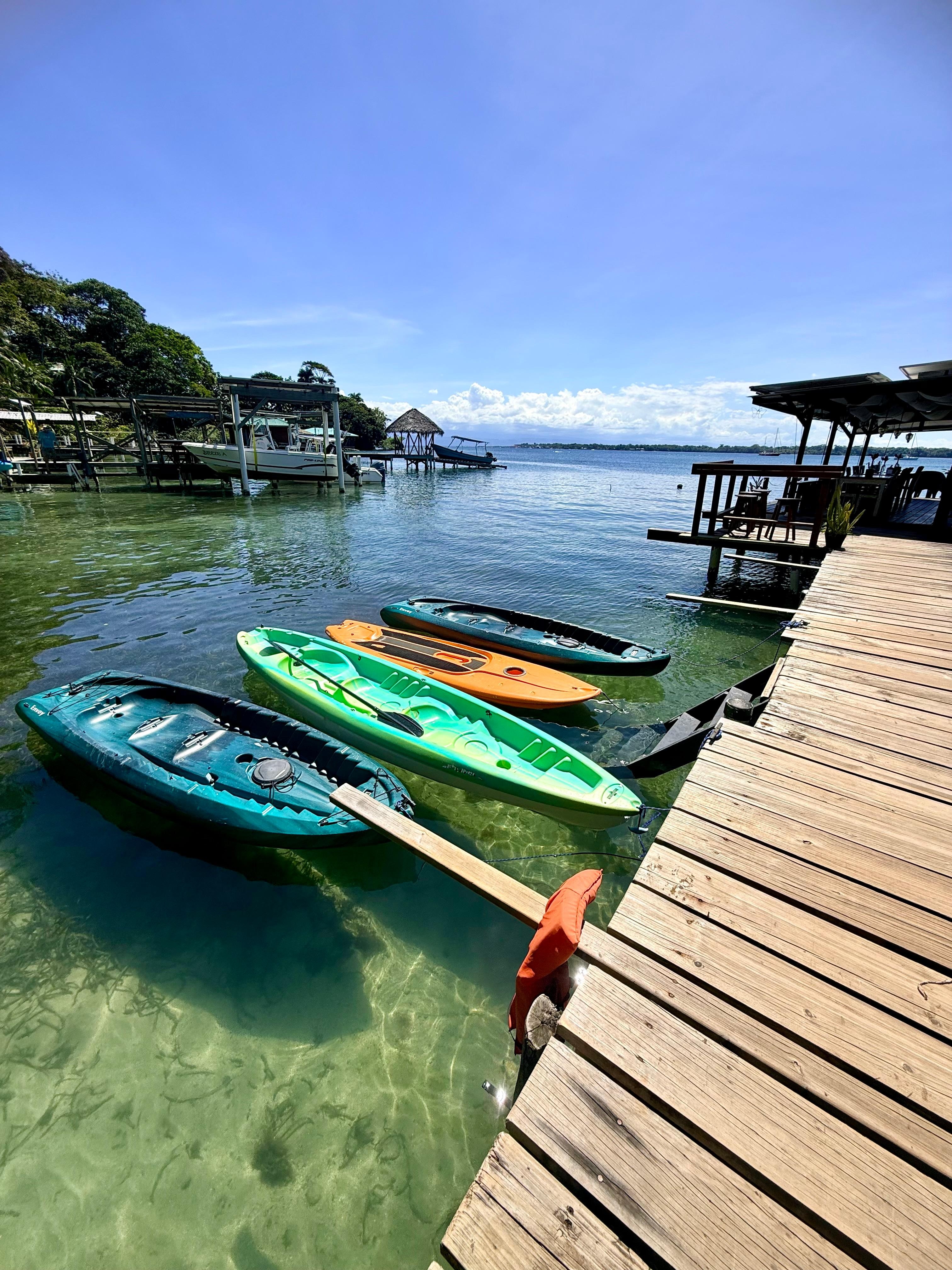 Kayaks and paddle boards 