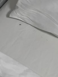 Dead bug on the sheet
