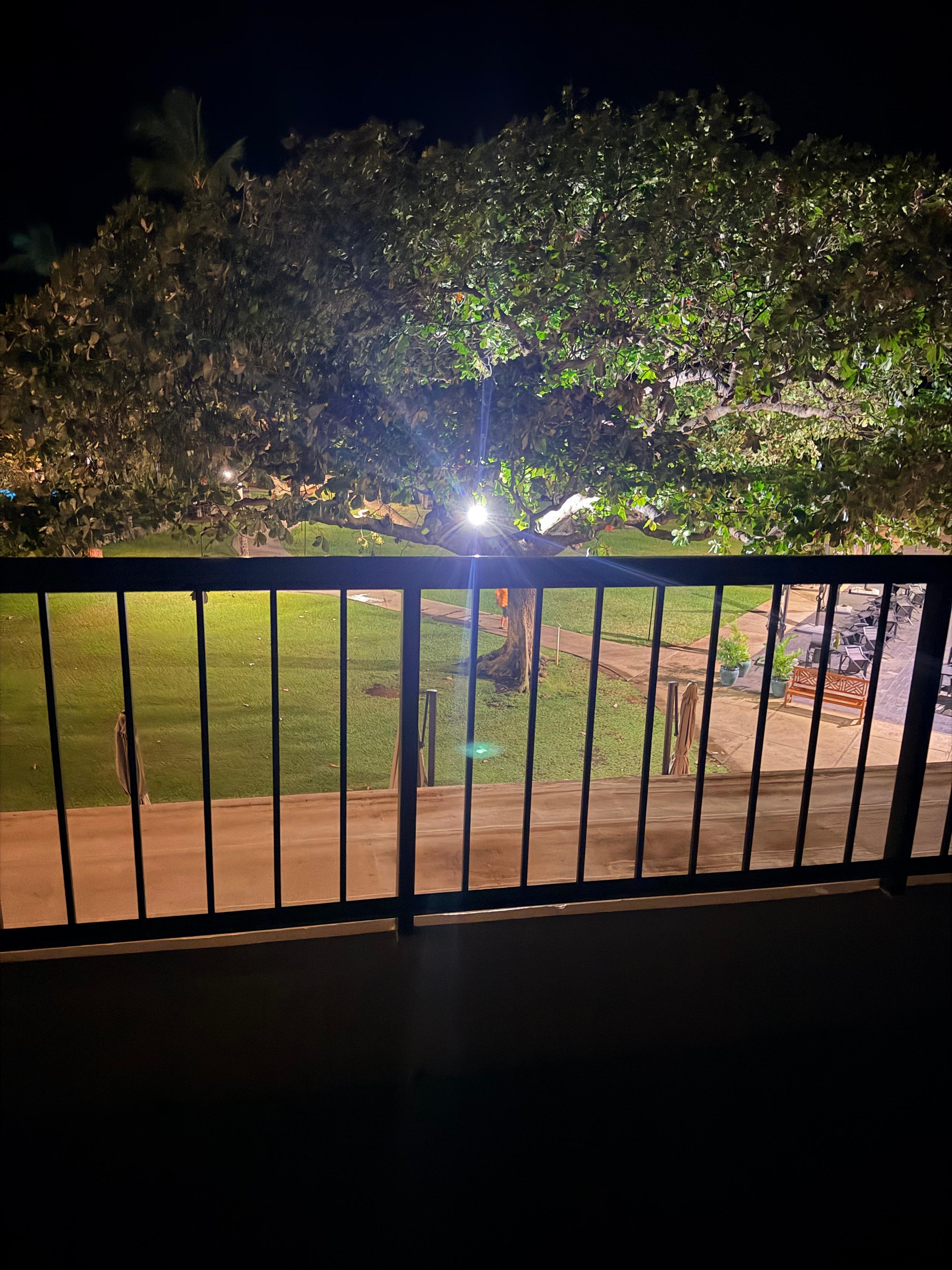 Light shining in tree into room 