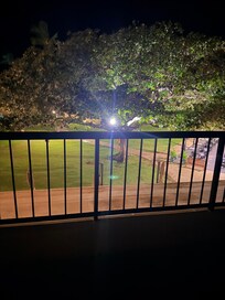 Light shining in tree into room