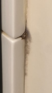 Black mold on wall of shower