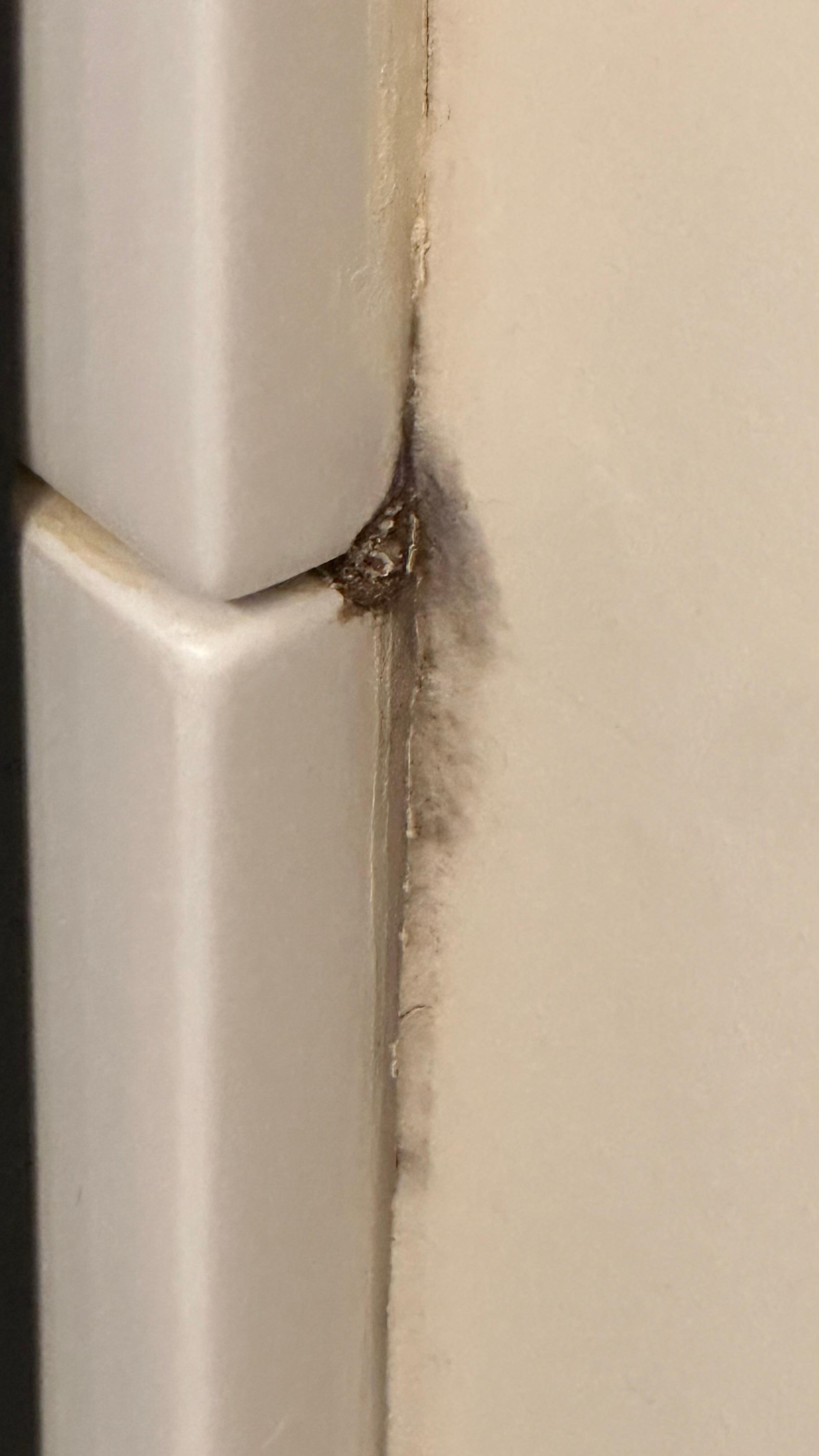 Black mold on wall of shower
