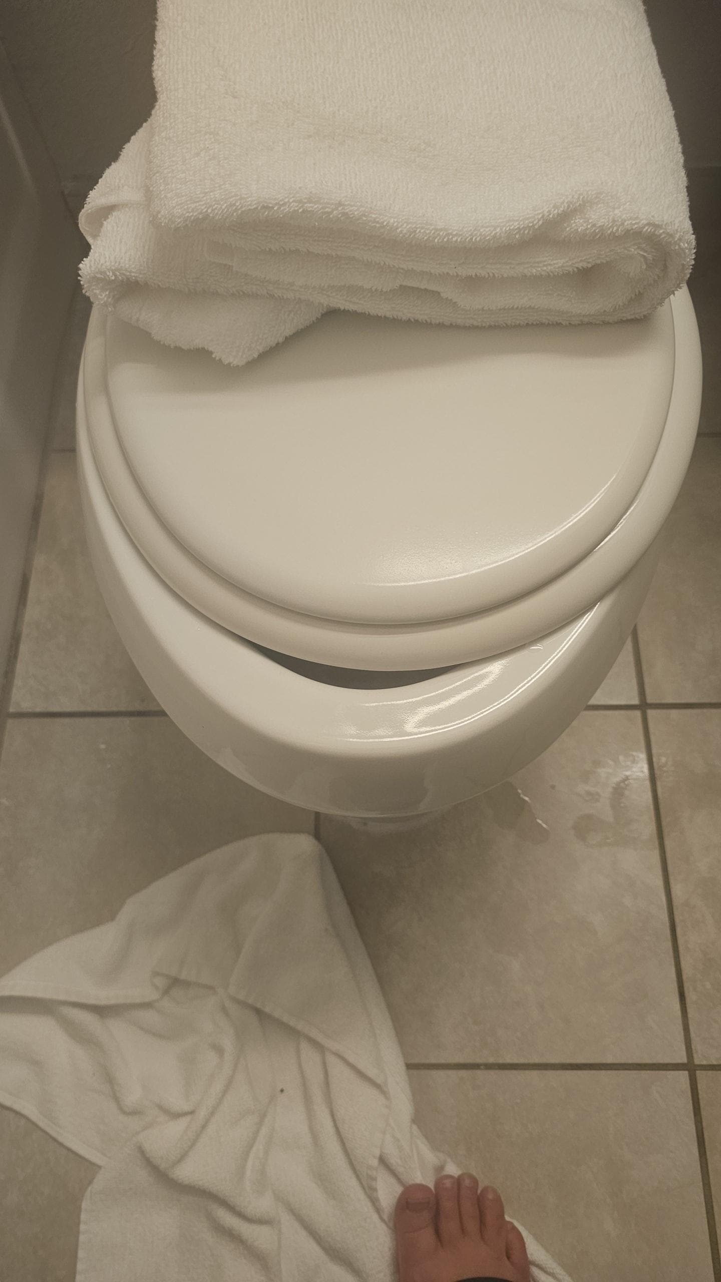 Toilet seat covers that don't fit