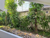 Garden view !