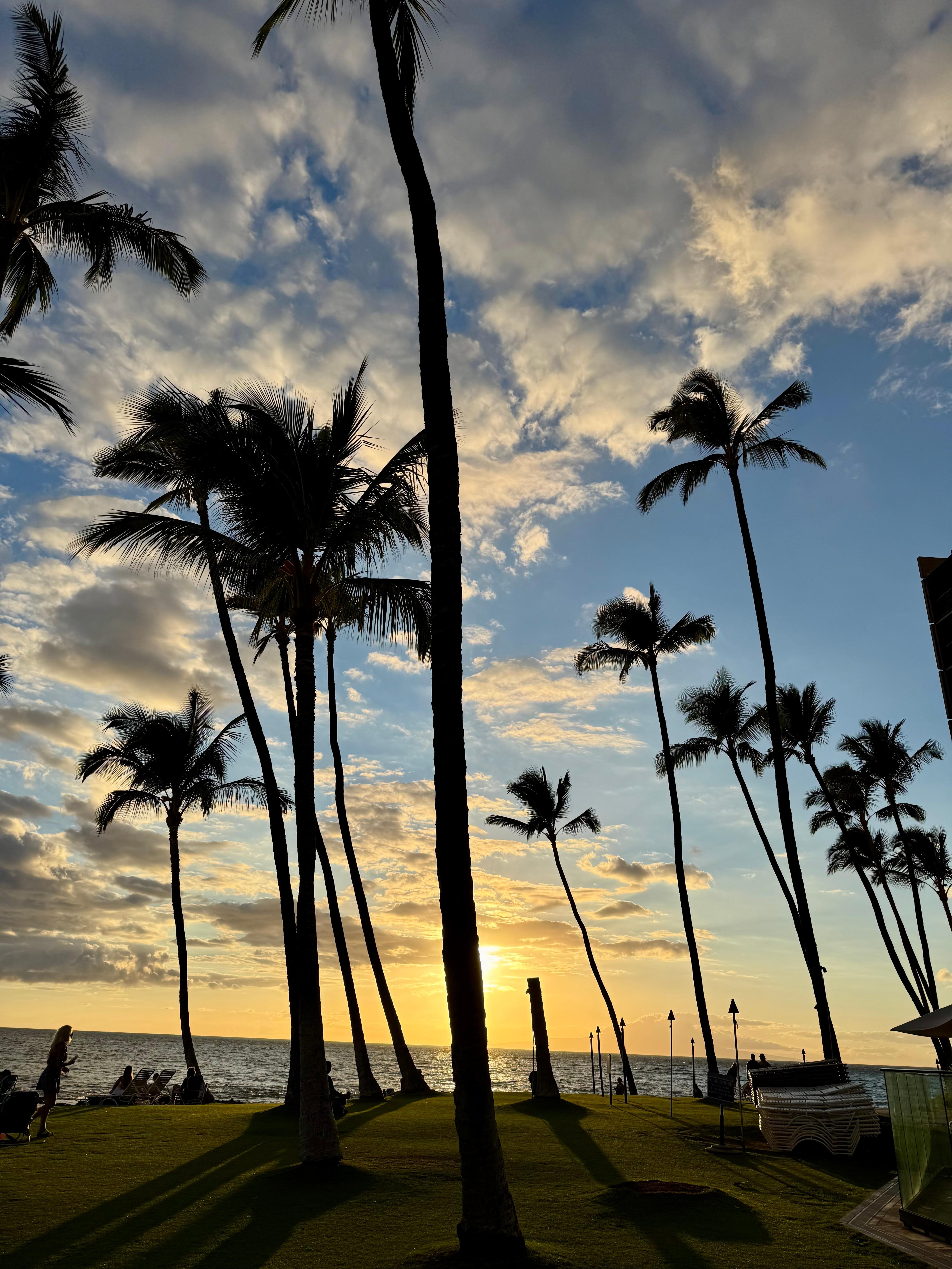 Sunset from grass area