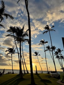 Sunset from grass area