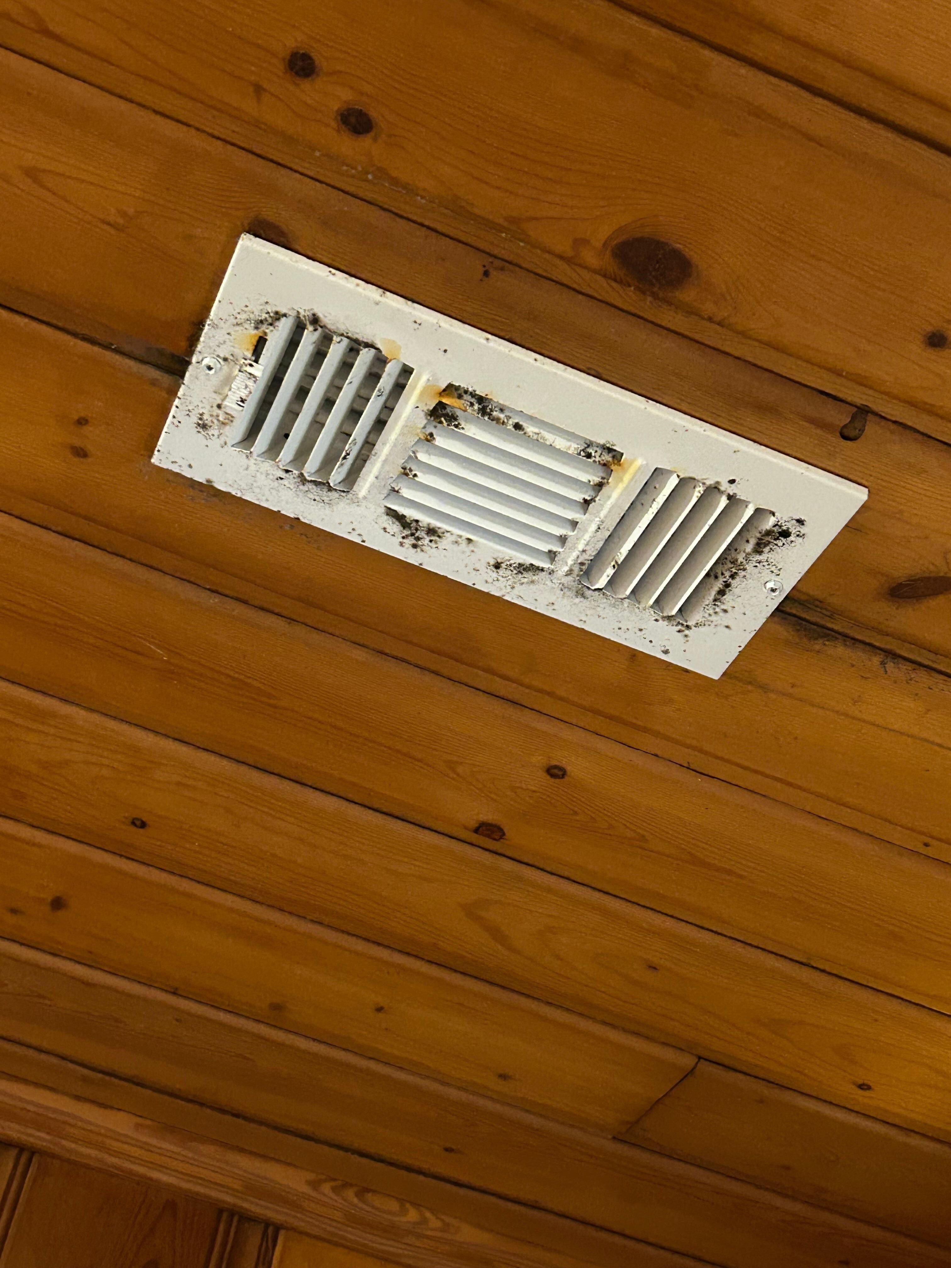 Mold on vents