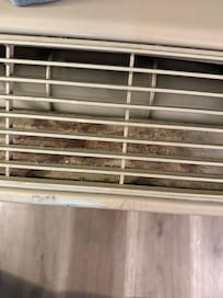 Collecting dust since 1950