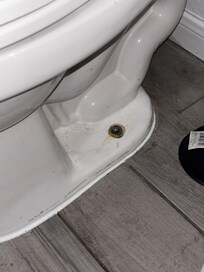 The toilet had a visible ring of dirt around the base. There was also shaved hair just there, I felt so sick.