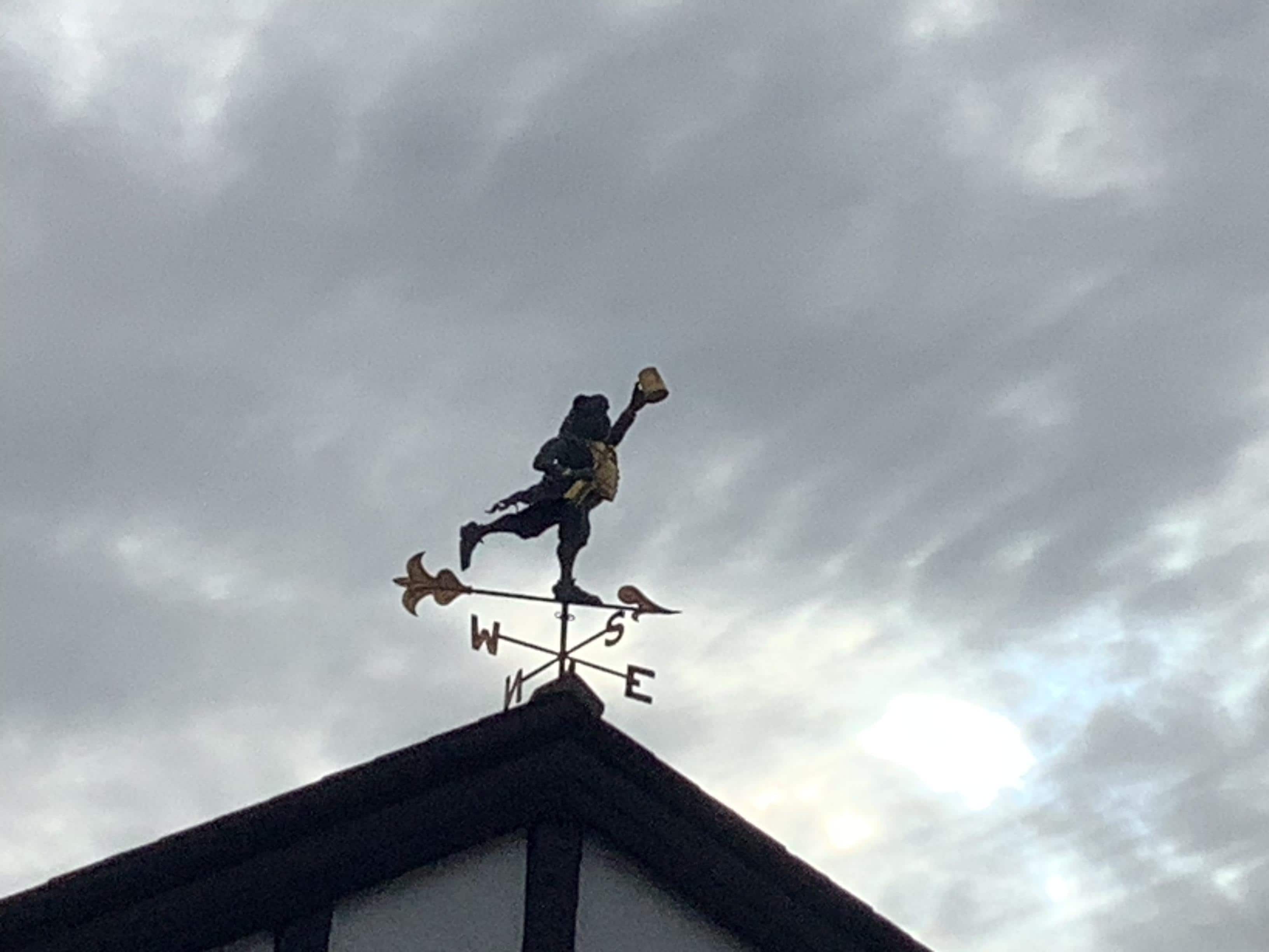 The wind vane 