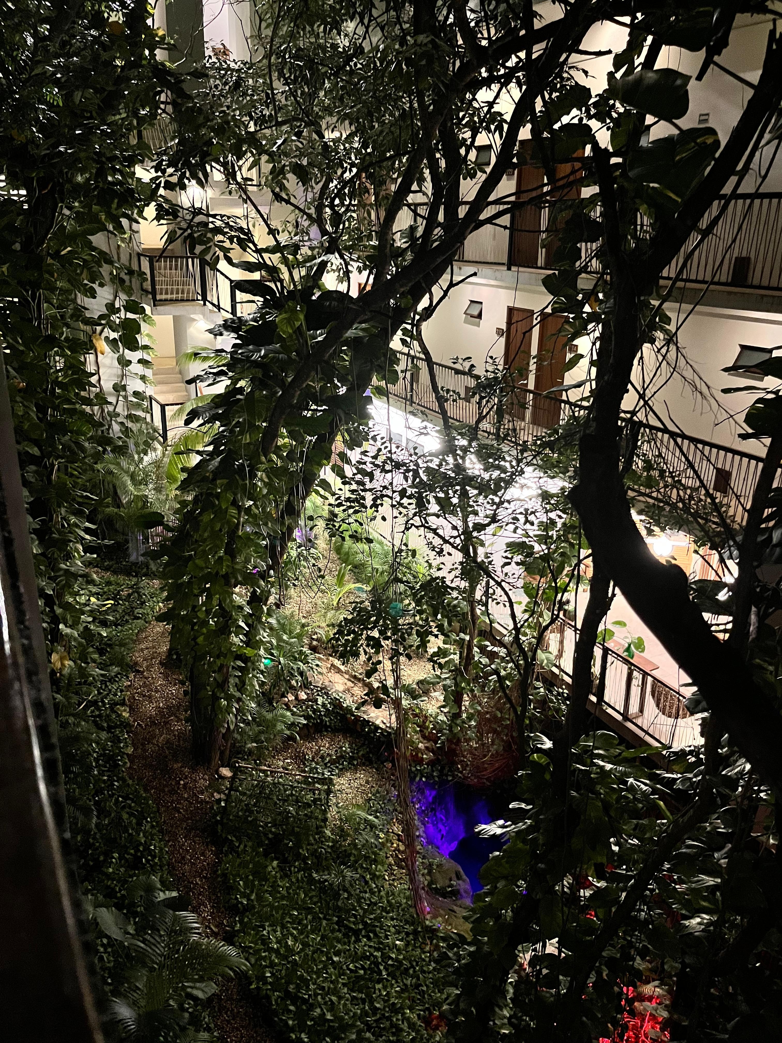 Mucha vegetacion incluso un mini cenote 