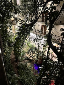 Mucha vegetacion incluso un mini cenote