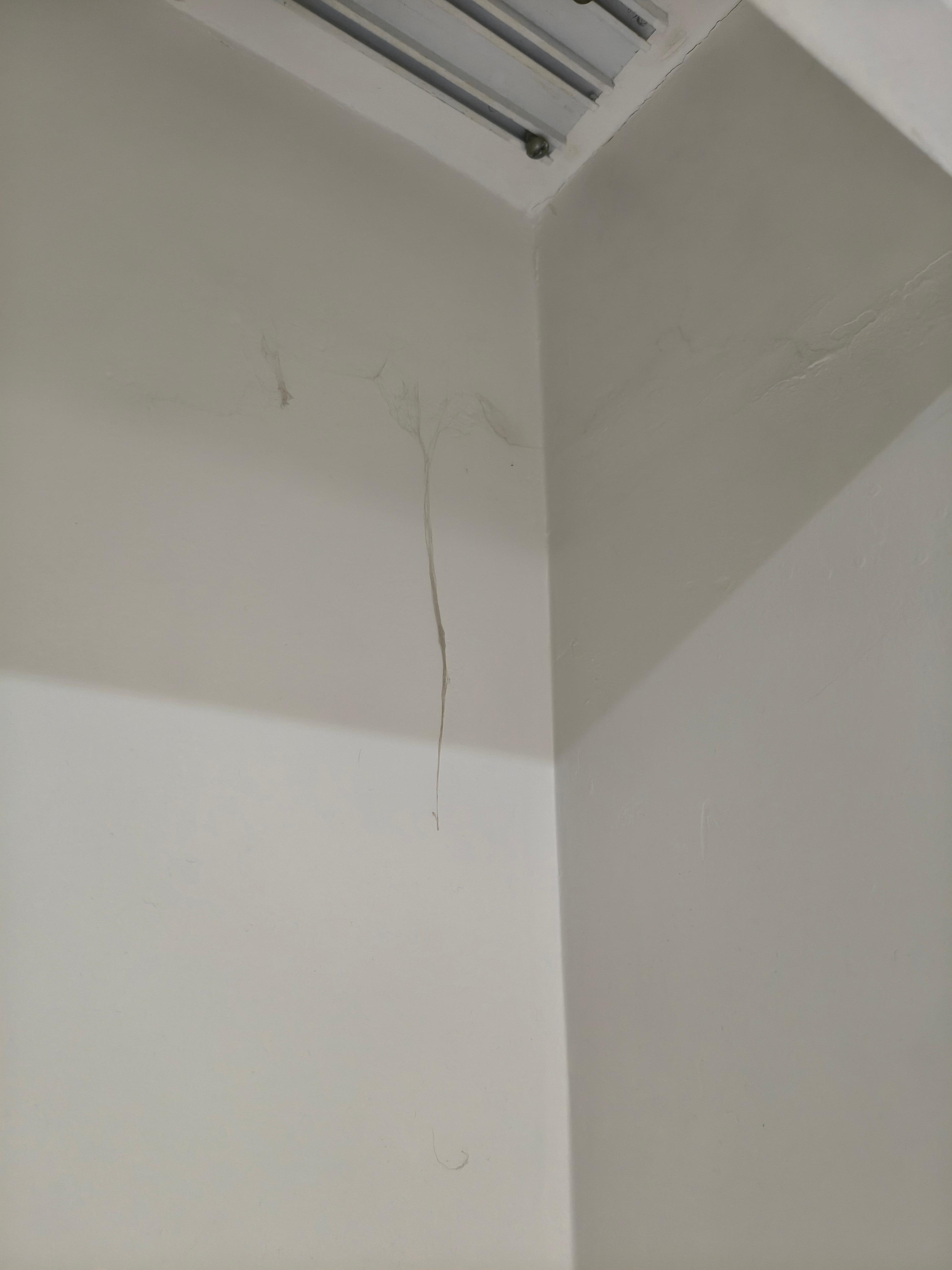 teto com teias de aranha