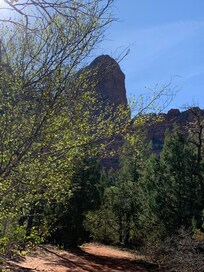 Kolob canyon
Taylor’s Creek trail.
